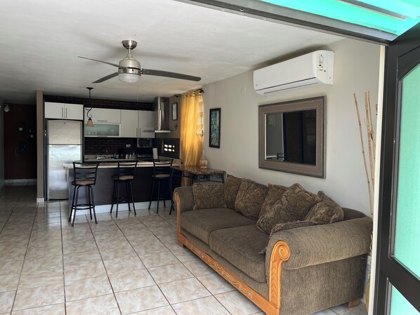 Smart TV, DVD player, books