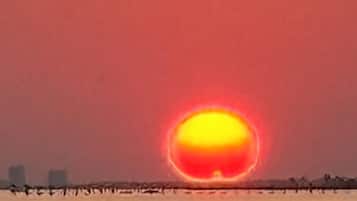 Ubicación a pie de playa, tumbonas y toallas de playa