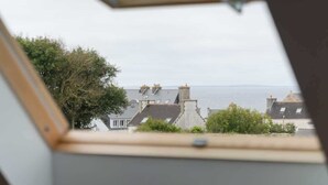 A skylight with a view of a residential area and the sea.