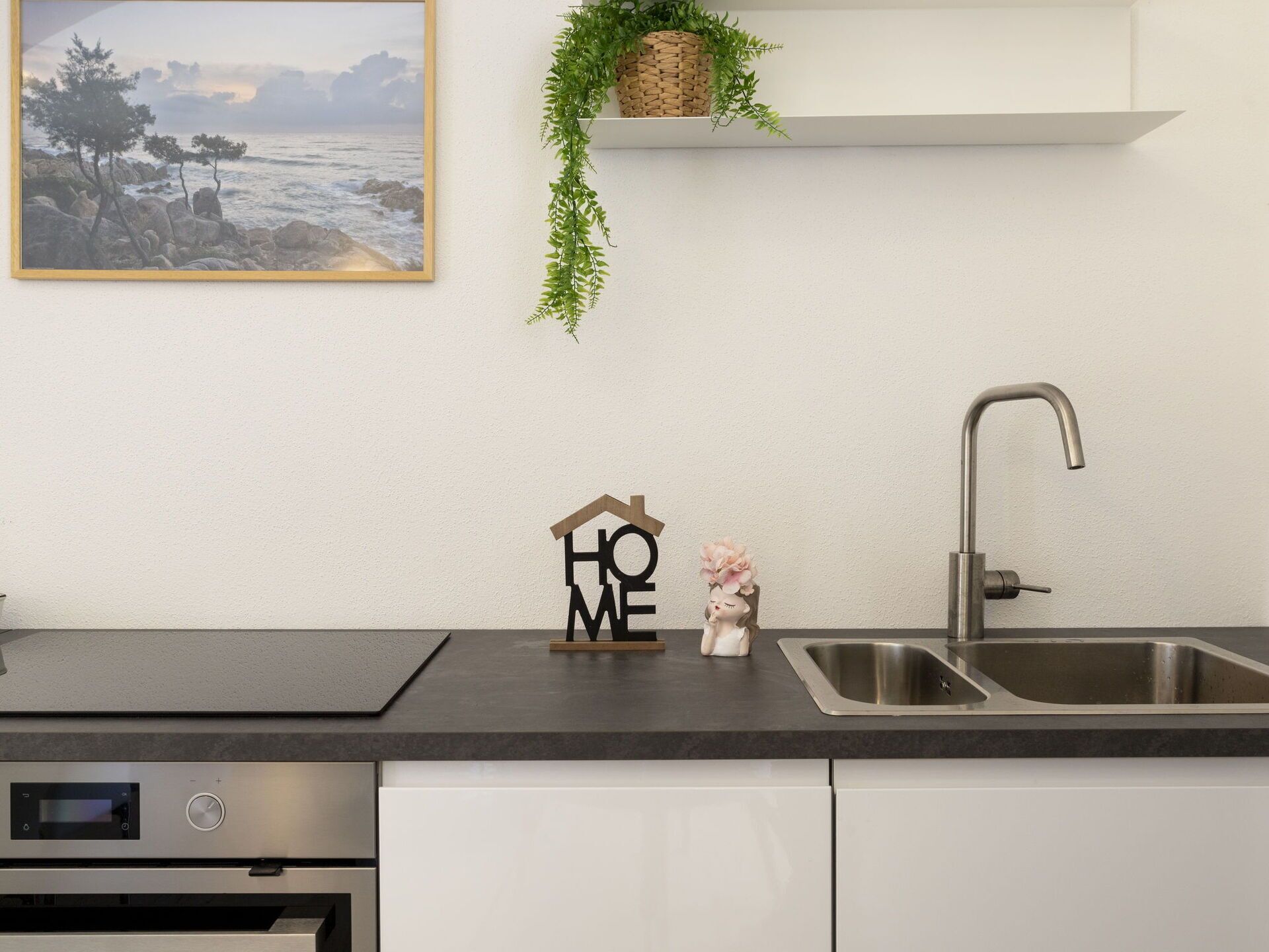 Evier, Plante, Évier, Propriété, Robinet, Luminaire Plomberie, Cabinetry, Comptoir, Design Intérieur, Cuisine