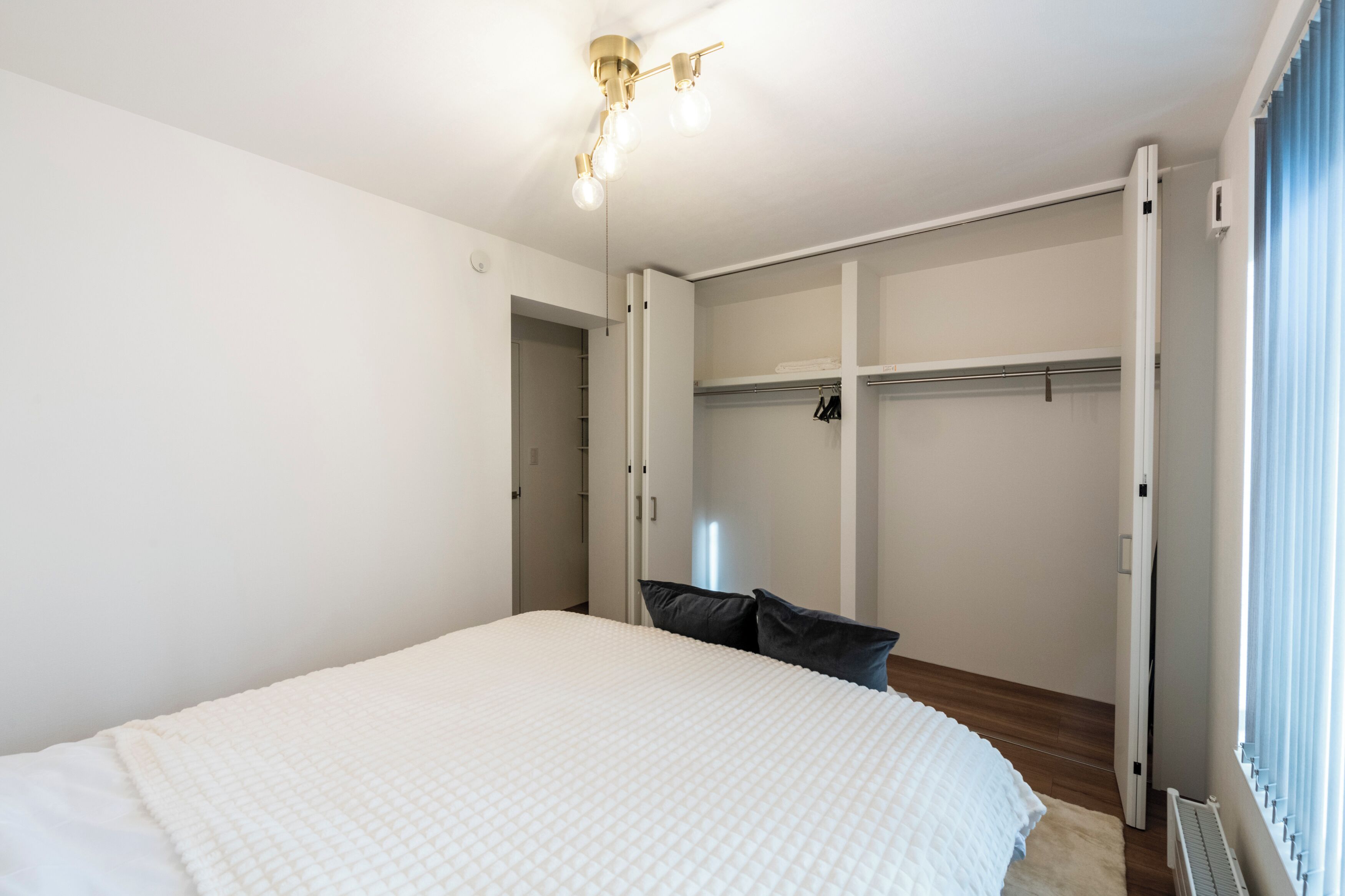 A bedroom with a large bed, a walk-in closet, and a ceiling light fixture.