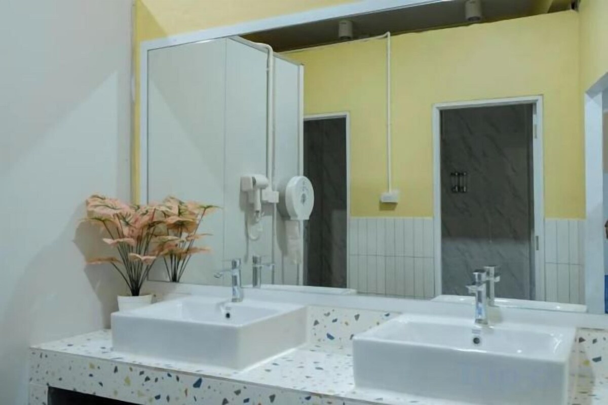 A bathroom with two sinks, a mirror, a towel dispenser, and a plant.