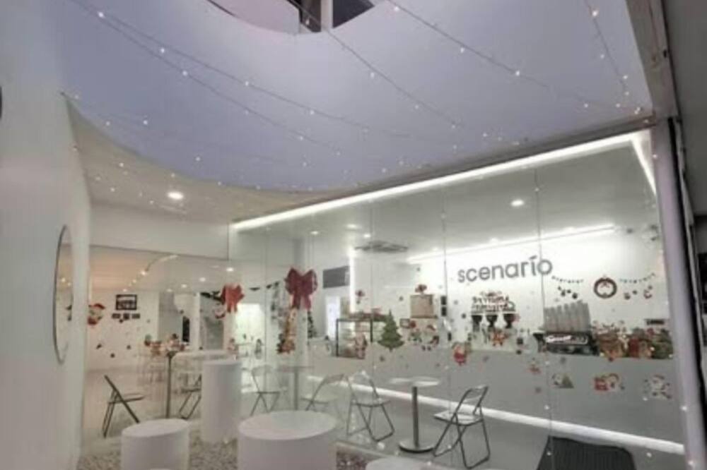 Scenario Cafe and Hostel