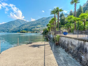 A waterfront promenade with a concrete walkway, palm trees, and a stone wall.