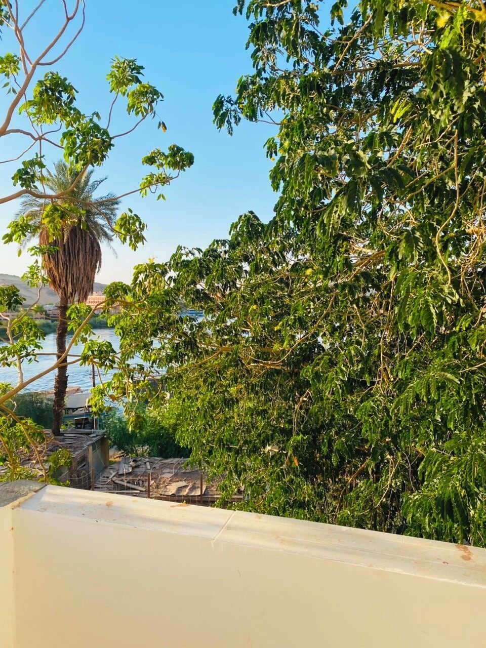 A view of a building with a balcony overlooking a body of water and dense foliage.