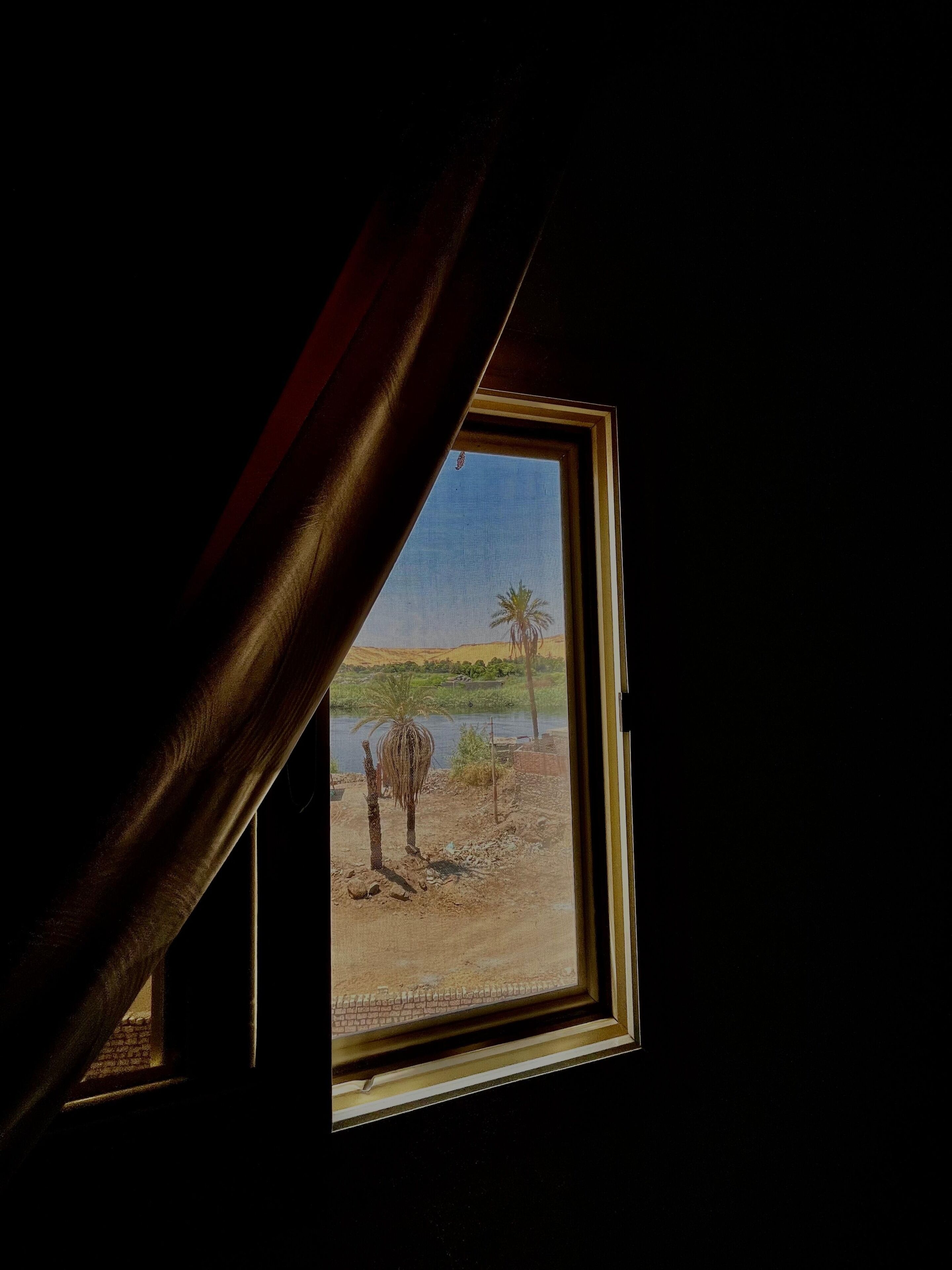 Una ventana con vistas a una palmera y un cuerpo de agua.