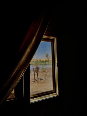 A window with a view of a palm tree and a body of water. - Nubian kingdom  (Aswan)