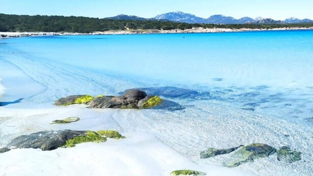 A clear beach with white sand and visible rocks. - Porto Rotondo - Appartamento in Centro, 8 Minuti Da Spiaggia Ira (Olbia)