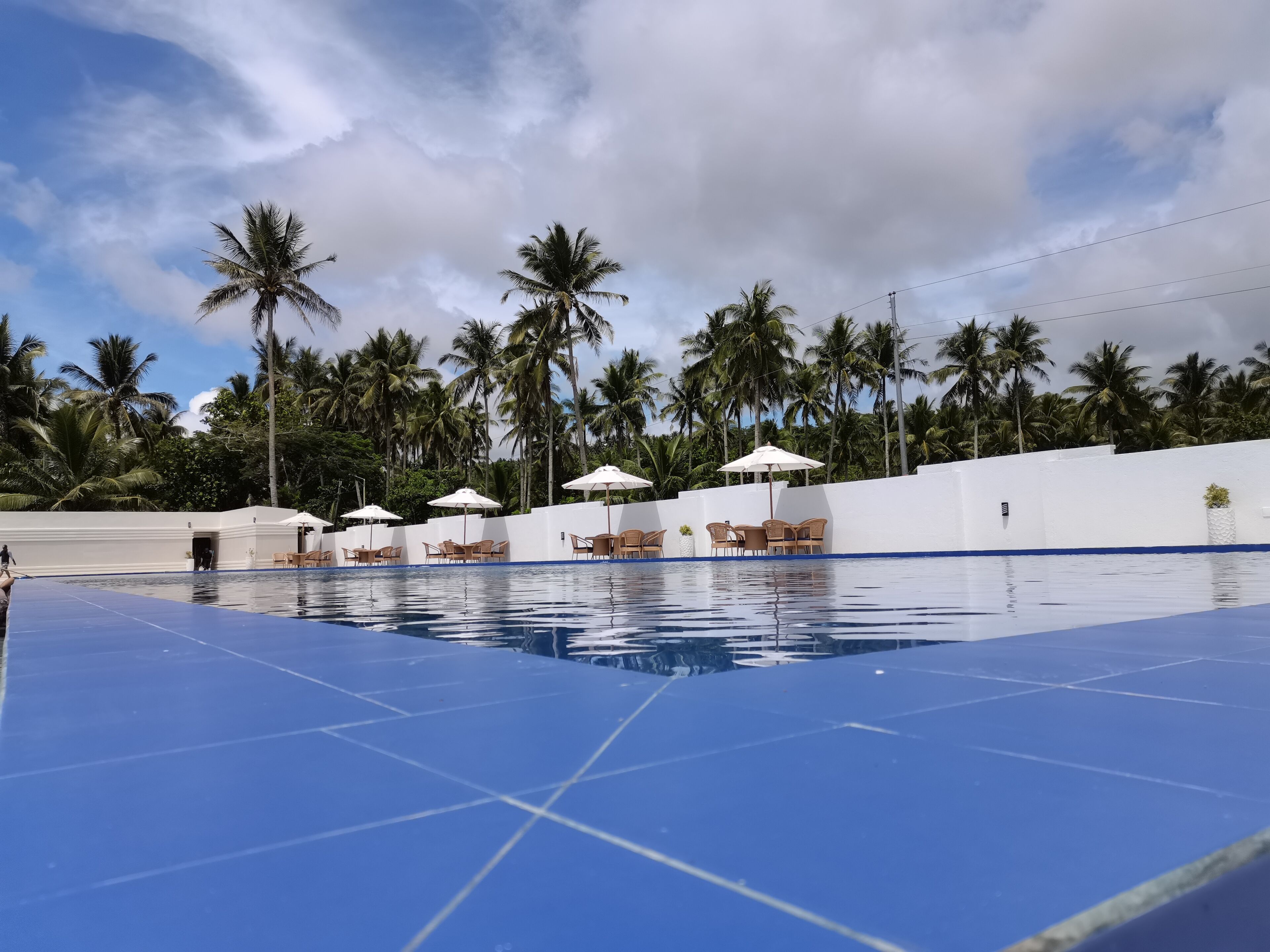 Une piscine entourée de palmiers, avec des chaises longues et des parasols.