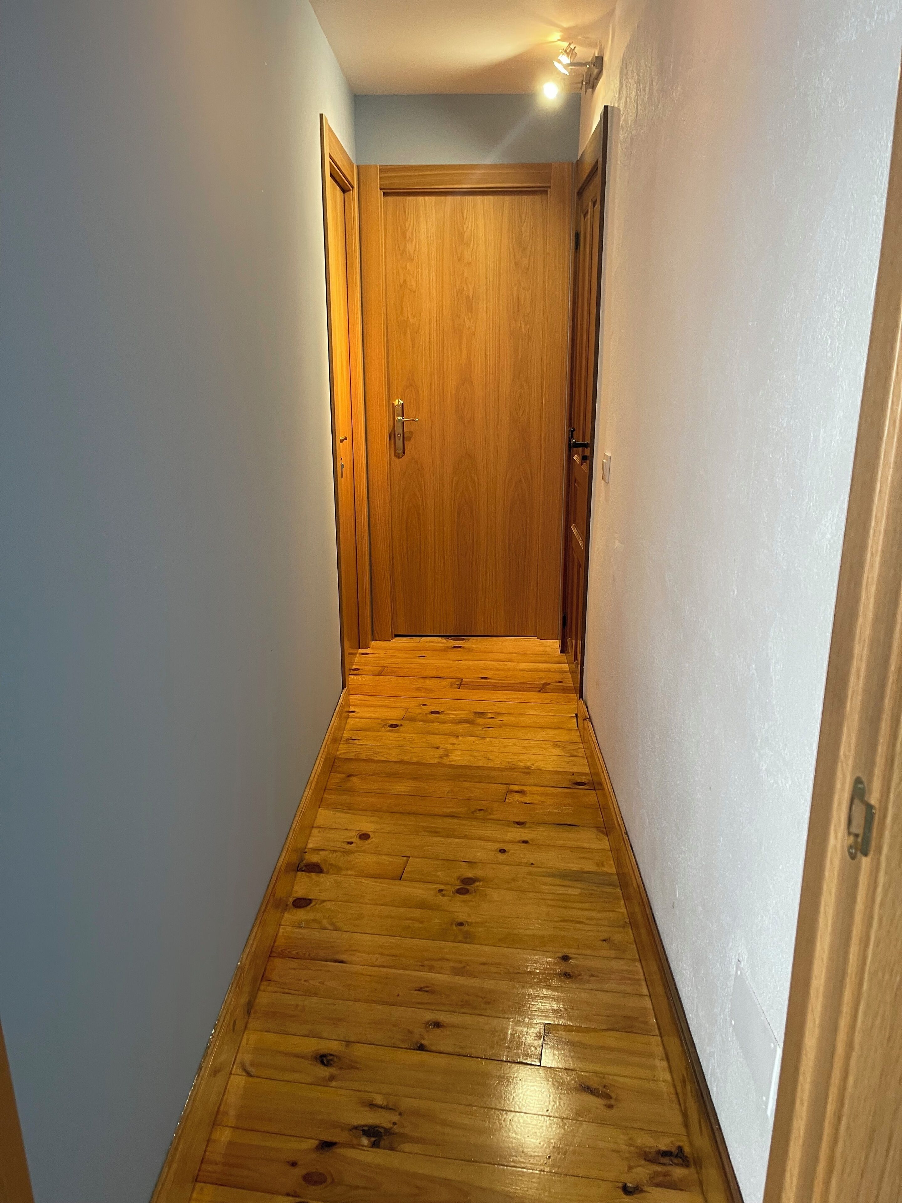 Un pasillo estrecho con suelo de madera y una puerta de madera al final.