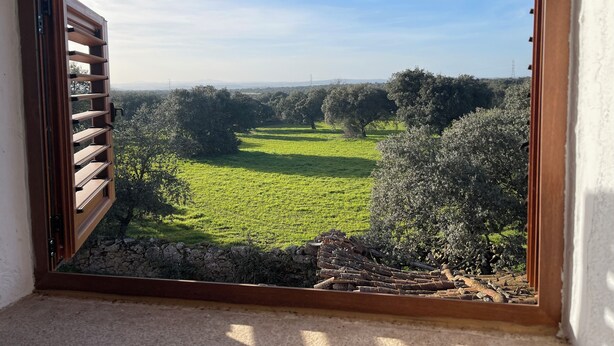 Una ventana con vistas a un campo verde y árboles.