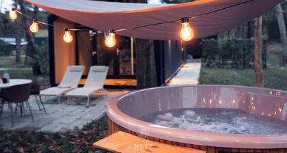 Wellness Lodge with hot tub in the woods on the Sallandse Heuvelrug
