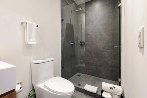 Douche, séchoir à cheveux, serviettes fournies