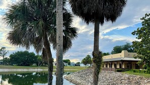 Una vista serena de un lago con palmeras, un estanque y un edificio con zona de patio.