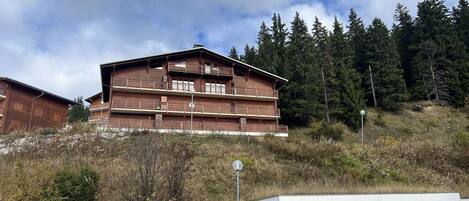 A multi-story wooden building with balconies, situated on a hillside with a forest backdrop.