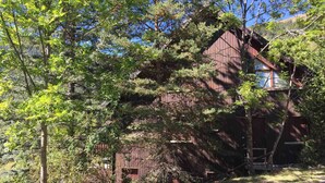 Un chalet en bois rustique, entouré d’une forêt dense, sous un ciel dégagé.