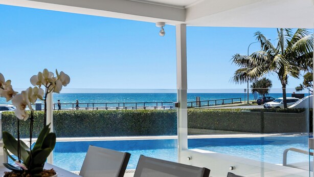 Zona junto a la piscina con vista al océano, una palmera y una orquídea en maceta.