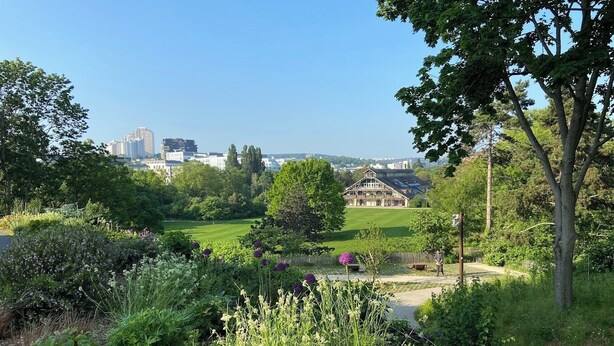 A garden with a variety of plants and flowers, a pathway, and a building in the background.