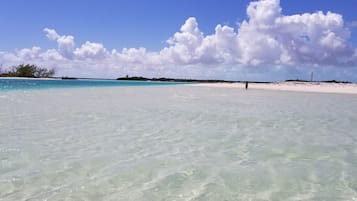Camastros y toallas de playa
