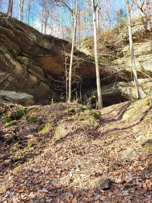 Miscellaneous - Charming 2-bedroom, 2 full baths and pet friendly house near Mammoth Cave NP. (Mammoth Cave)