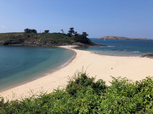 At the heart of a market-garden farm on the Emerald Coast 