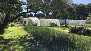 A greenhouse structure in a garden setting. - At the heart of a market-garden farm on the Emerald Coast  (Saint-Lunaire)