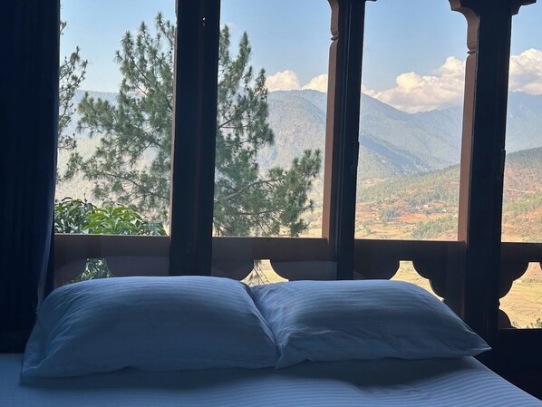 Double or Twin Room, Mountain View