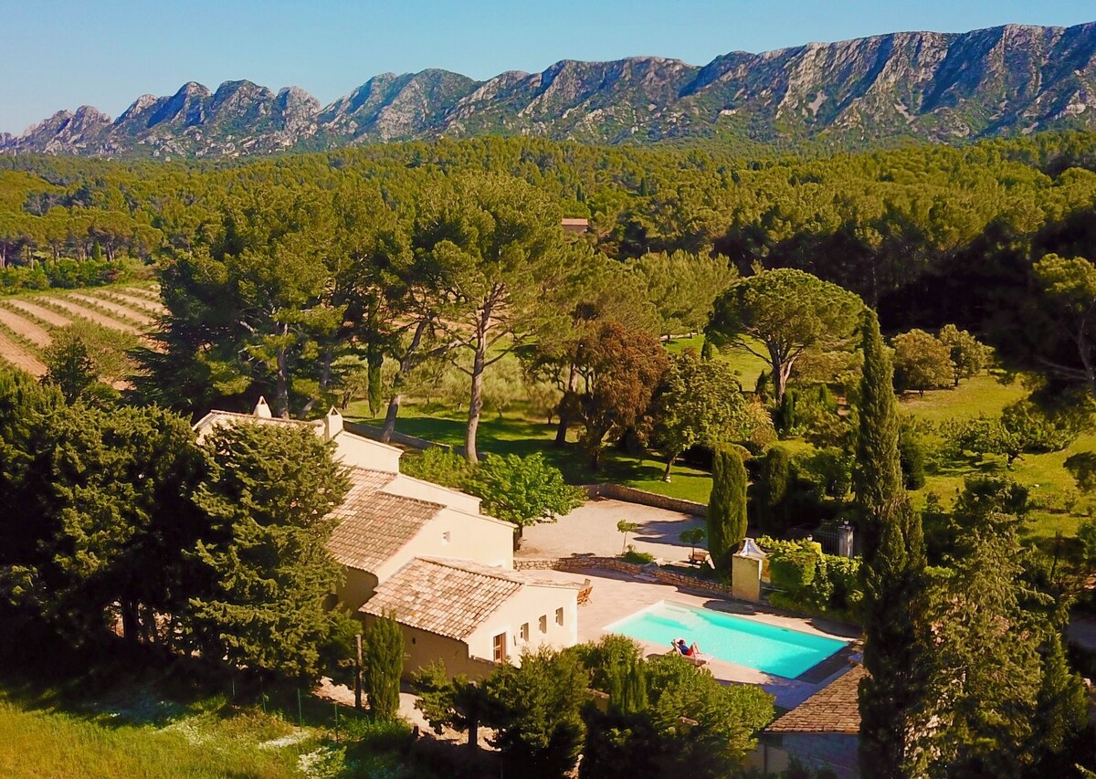 Image de profil de l’hôte