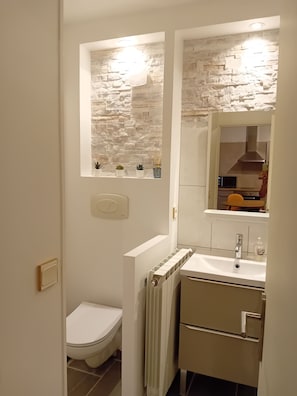 Douche, sèche-cheveux, serviettes fournies, papier toilette