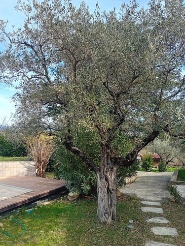 Comfortable studio with swimming pool in Vaison-la-Romaine - close to all amenities