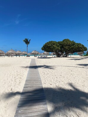 Accommodatie ligt op het strand