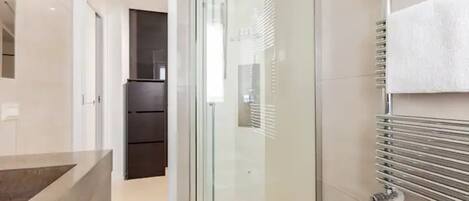 Shower, hair dryer, bidet, towels