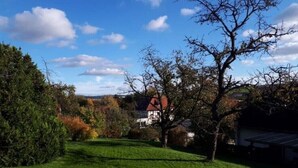 Una zona verda ben cuidada amb una casa al fons.