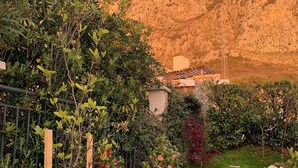Un jardí amb una pèrgola de fusta, plantes florejants i una vista a una muntanya al fons.