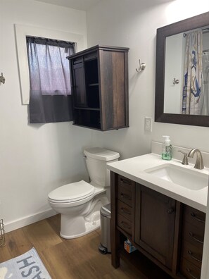 Shower, hair dryer, towels - Discover Cayuga Lake waterfront cottage charm (Romulus)