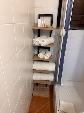 Shower, hair dryer, bidet, towels