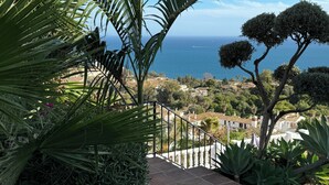 A garden with a palm tree and a view of the sea.