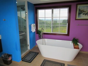 Panoramic Double Room, Mountain View | Bathroom