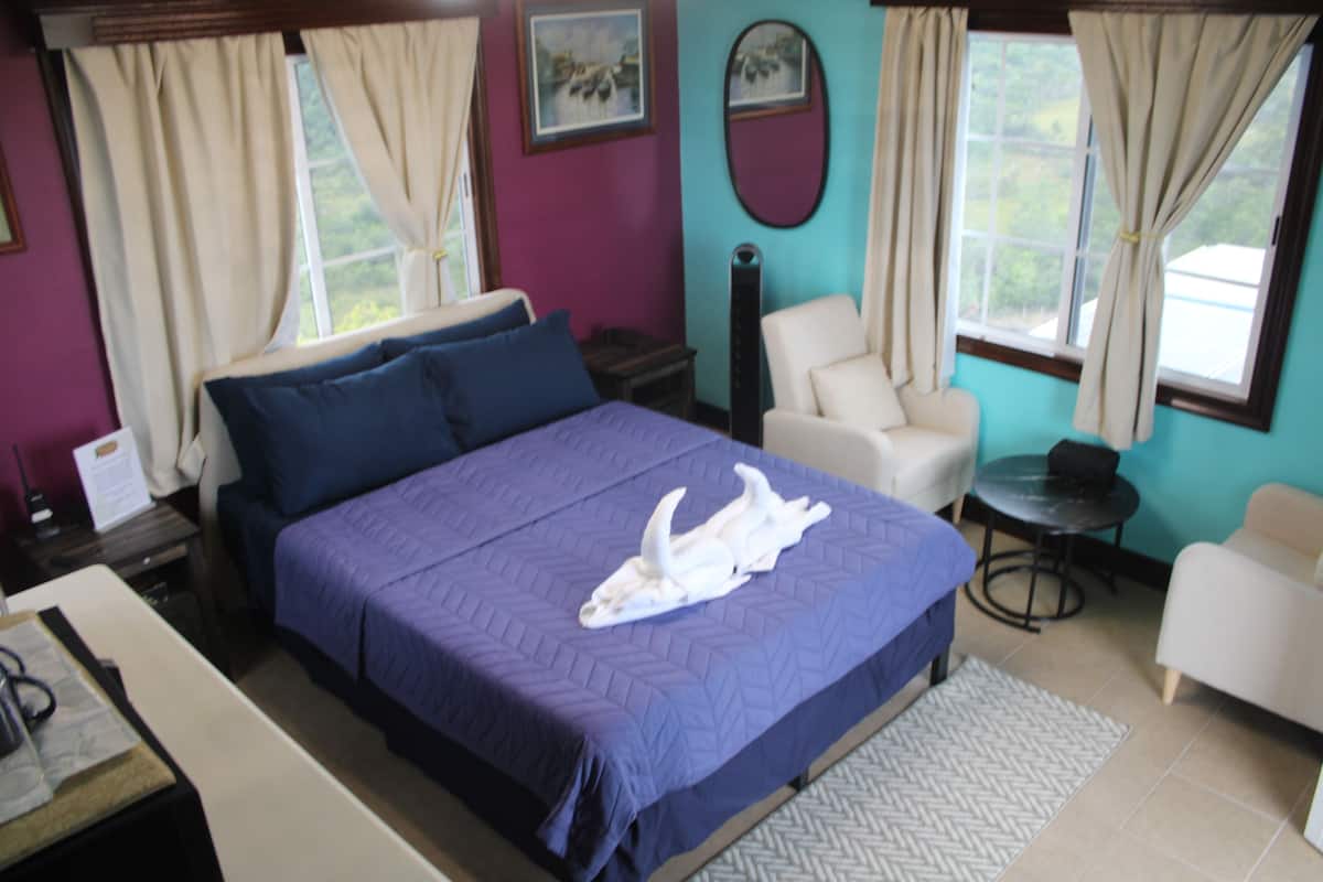 Habitación de hotel con una cama grande, una silla, una mesita y vistas al exterior.