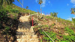 Una escalera de piedra con barandillas rojas que asciende por una colina cubierta de césped, rodeada de palmeras y follaje.