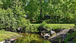 A natural landscape with a small stream, rocks, and dense greenery. - The Hideaway Of Horse Cove (Highlands)