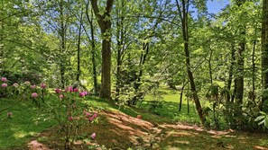Zona boscosa con un sendero cubierto de hierba y flores rosadas.