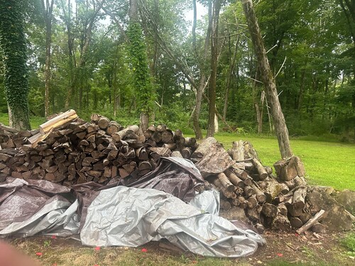 Forest Wonderland Sanctuary-Private, Gourmet Kitchen, Fire-pit and Jacuzzi tub