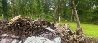 Forest Wonderland Sanctuary-Private, Gourmet Kitchen, Fire-pit and Jacuzzi tub