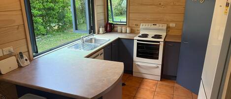 Microwave, oven, stovetop, dishwasher