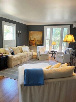 Smart TV, fireplace, books, computer monitors
