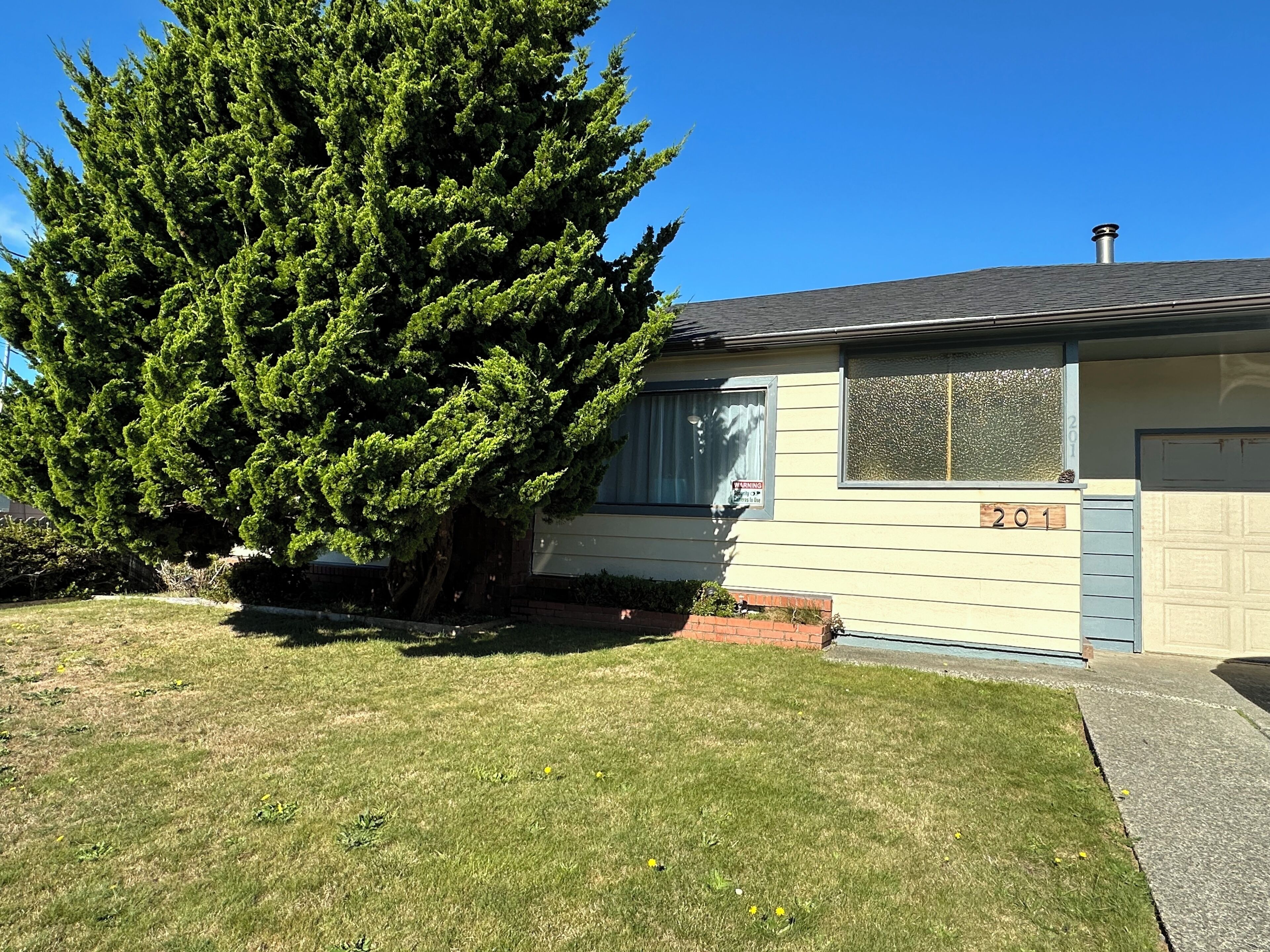 A single-story house with a large evergreen tree in front, a garage, and a clear blue sky.