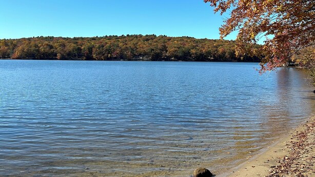 Un lac aux eaux limpides, bordé d’une plage de sable et entouré d’arbres aux couleurs automnales.