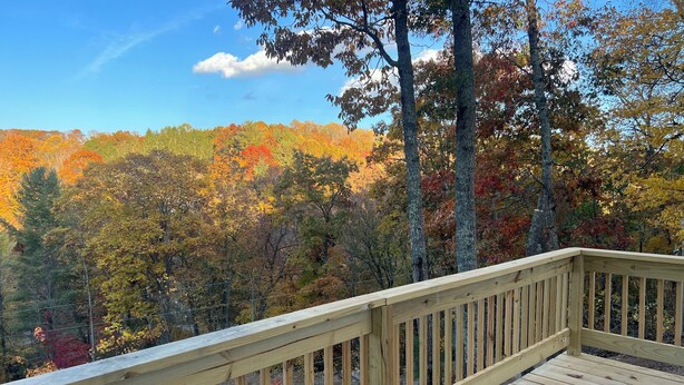 Eine Holzterrasse mit Blick auf ein bewaldetes Gebiet im Herbstlaub.