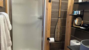 Shower, hair dryer, towels